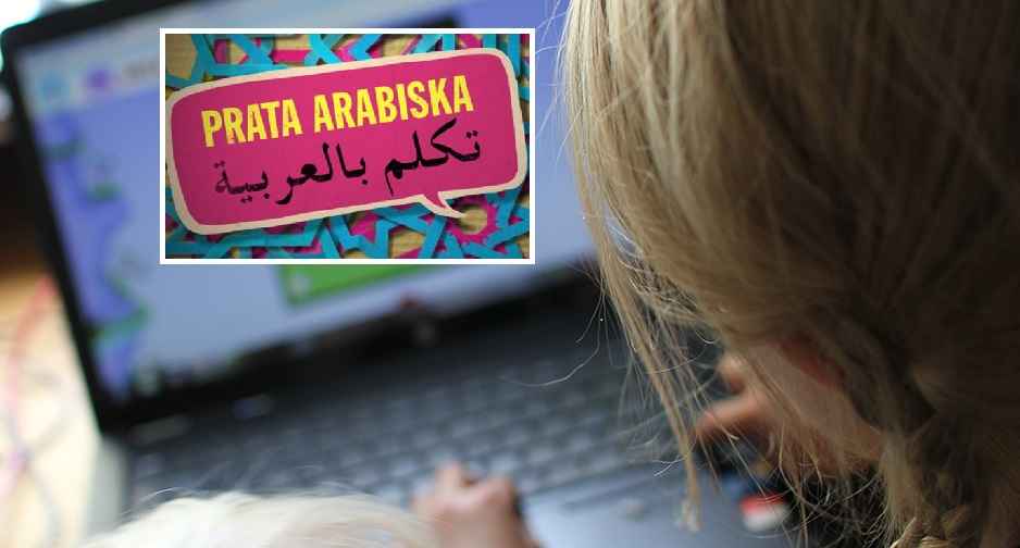 fjarrundervisning insats 1