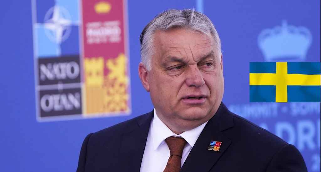 c04a3f2f 62e2 4c50 83bc 7d53f15081bc 1