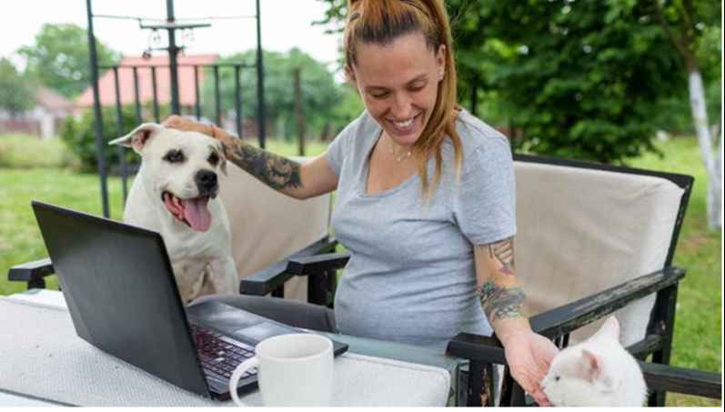 Doc P 976101 637948160699796115 1