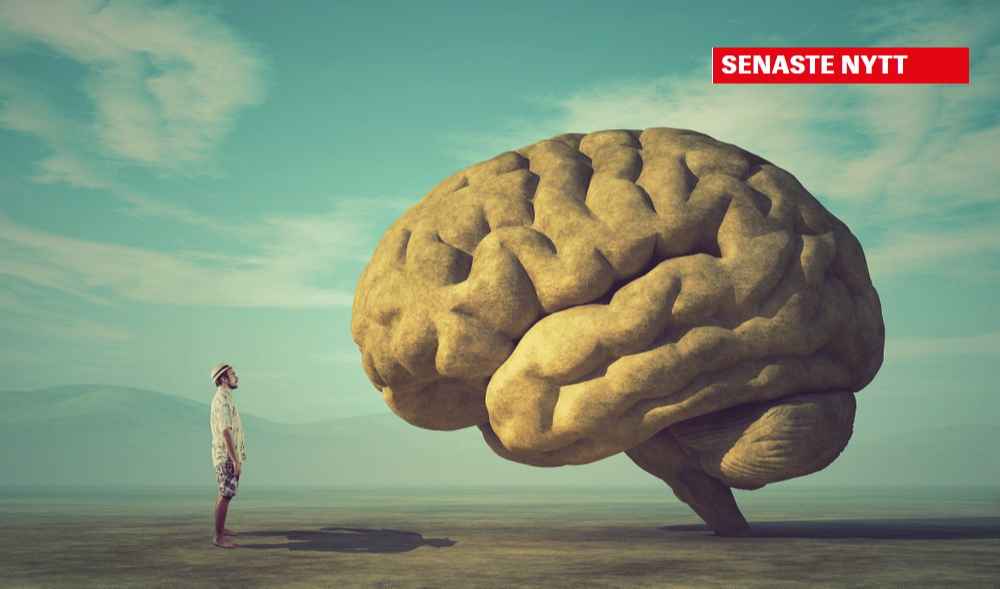 shutterstock 1032541603 1000x630 1