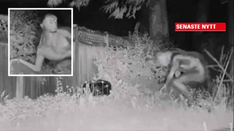 278861fa 81ce 421d a18d b4f0e428ace2 16x9 1200x676 1