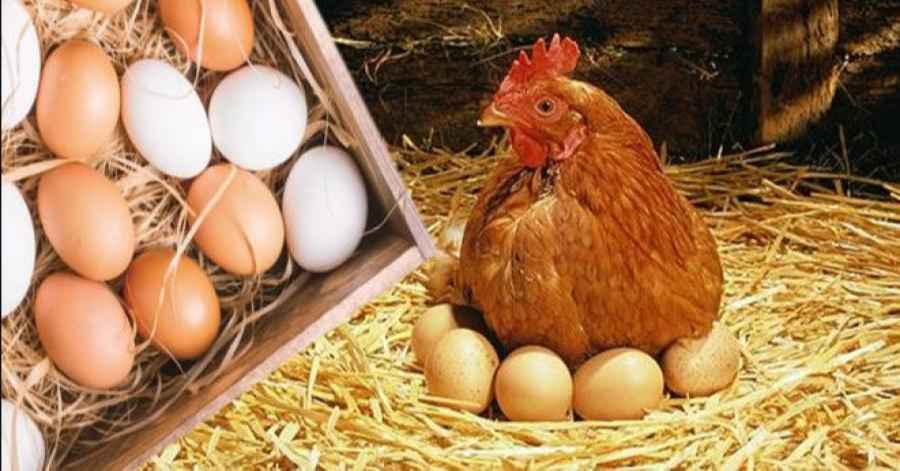 737b4f91ba117d6f660462b6c542ac98 1