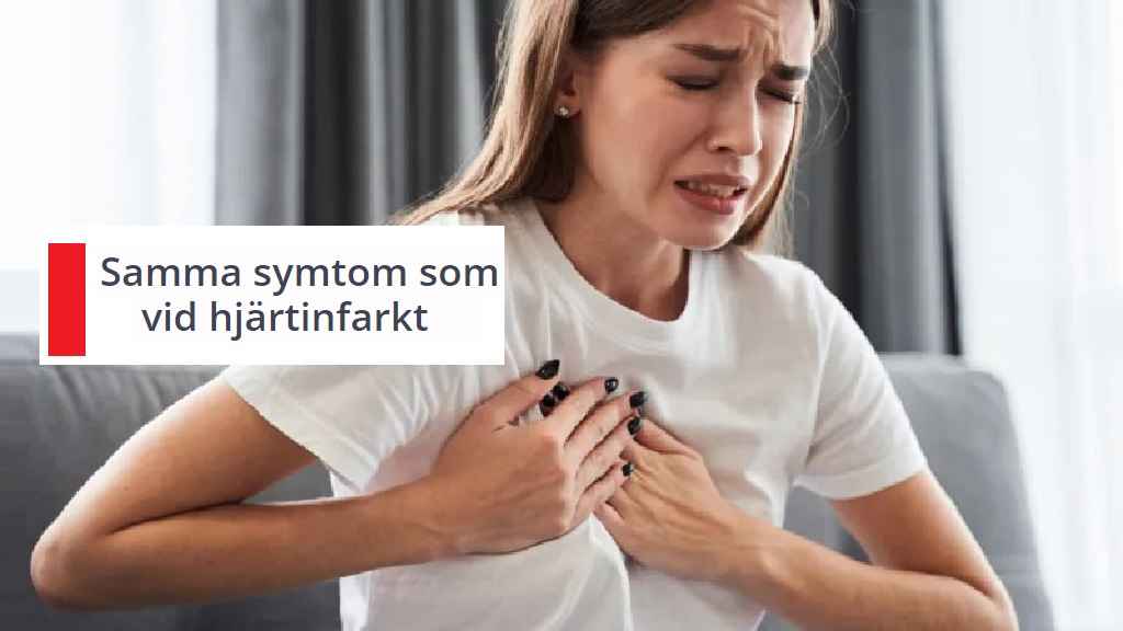 shutterstock 1845308602 1