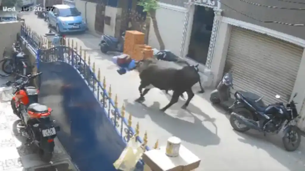 0c990cd0 ac1f 4235 b0c9 d97ed7d76c8d 16x9 1200x676 1