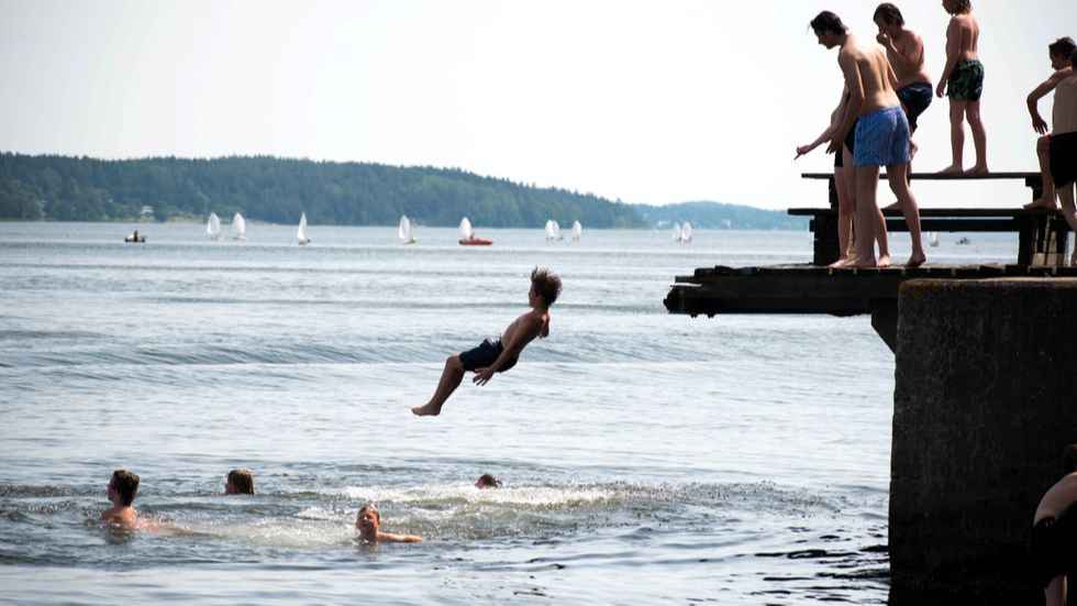 1c32f38d 105e 4954 bcbc b3da4962edb0 1 1