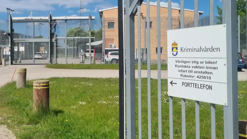 8ee648da 6b4e 41ff b898 e889c23ba8ba 1