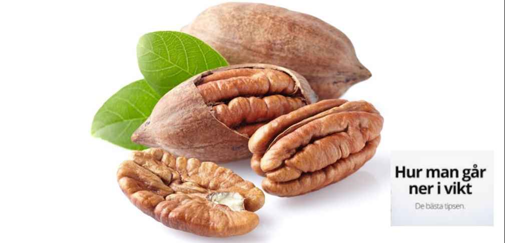 pecan seeds carya illinoinensis 1