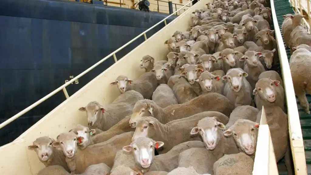 3c71160c c58b 4530 8995 d9ef92d8dc14 16x9 1200x676 1 1