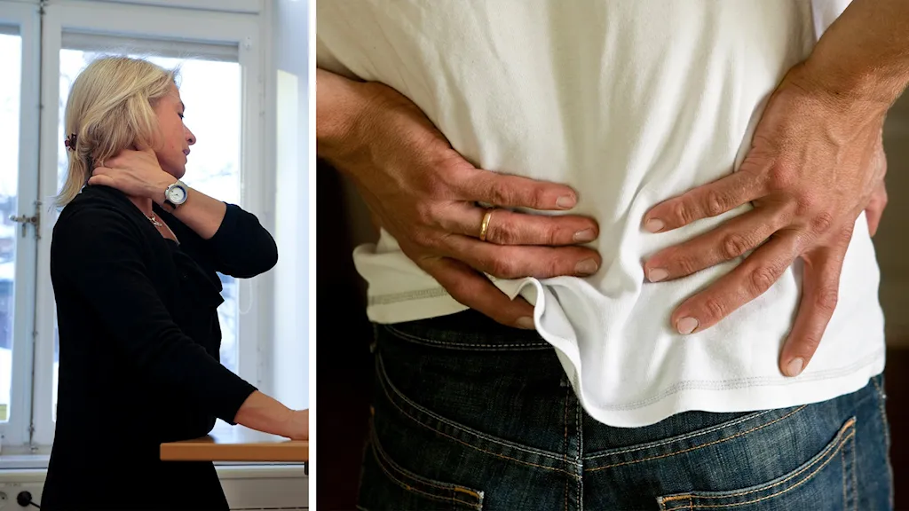 49408b01 4907 40ea b8d2 6732e1a05a66