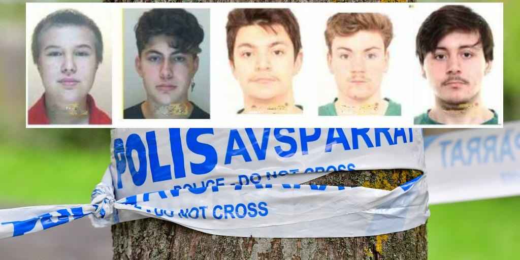 9344e4af 74b2 5e7d 84a4 a83a703bdf96 image jpeg 1