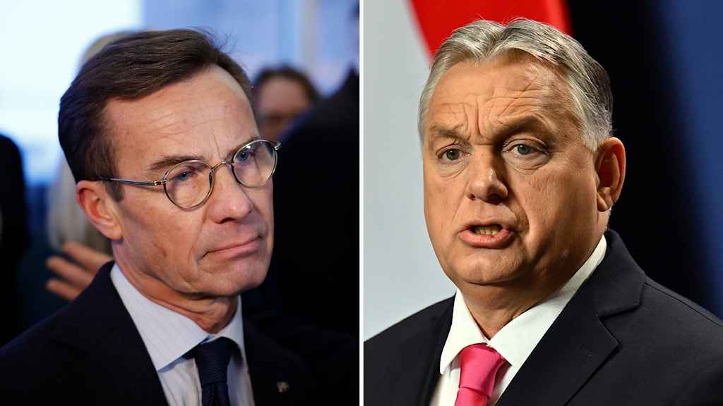 334208ee d798 4475 bc57 d5b25bbe1d4d 1 1