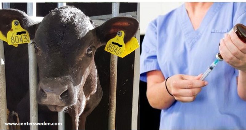 7d901a91 1c56 4b10 a762 09f536d84f4d b0e6960db9 1