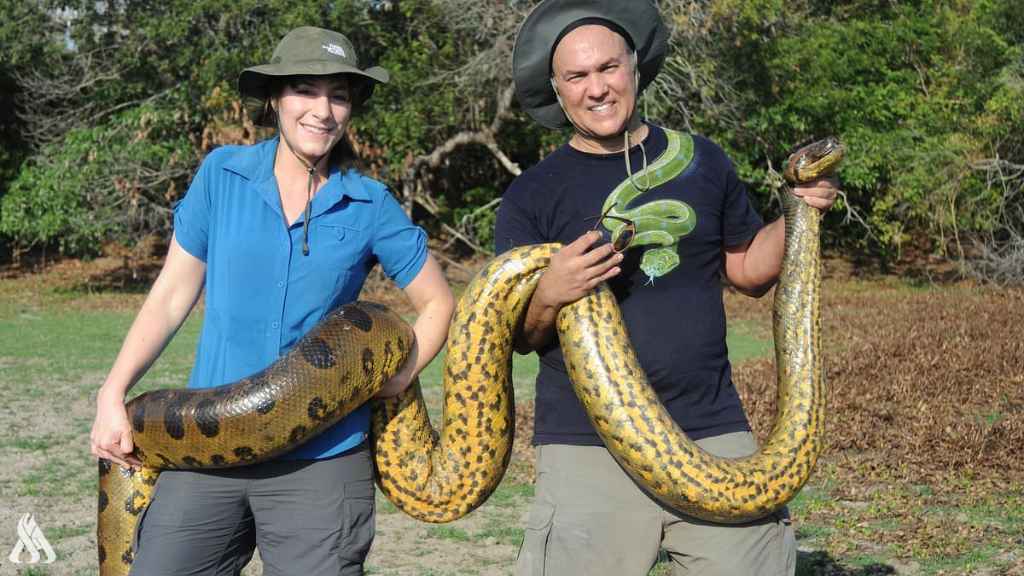 upload 1708490976 592842231 1