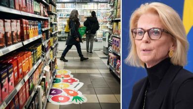 15 svantesson matpris webb 1