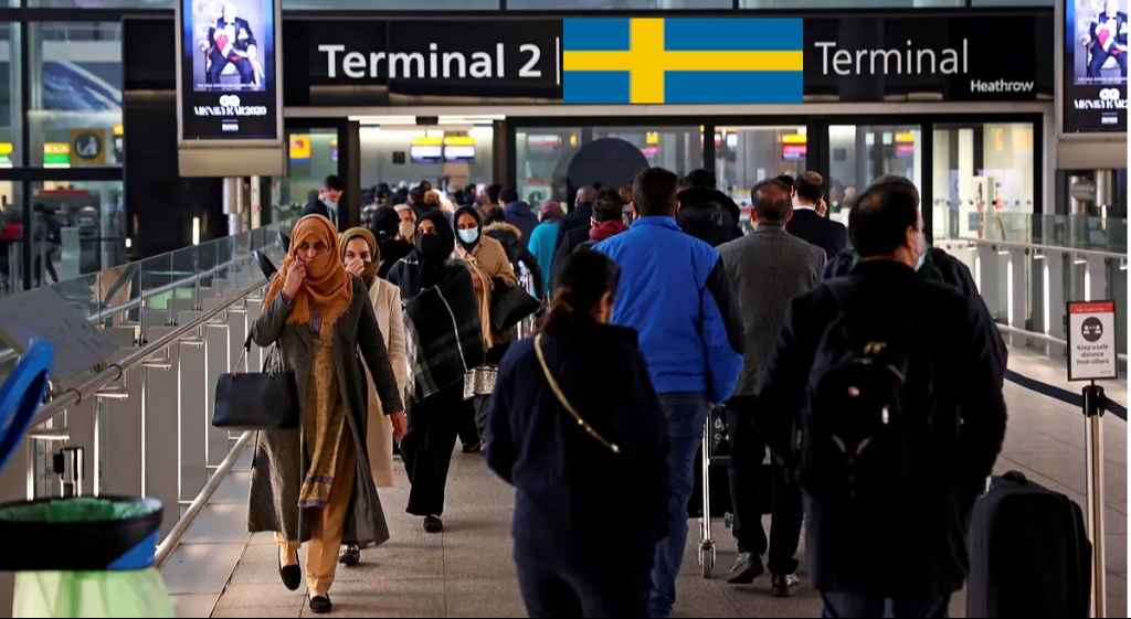 413315d6 0985 4309 a939 55811a69fe6d 1