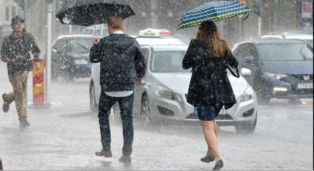 20211113001136 618f0931ecf8e40cfb265396jpeg 1