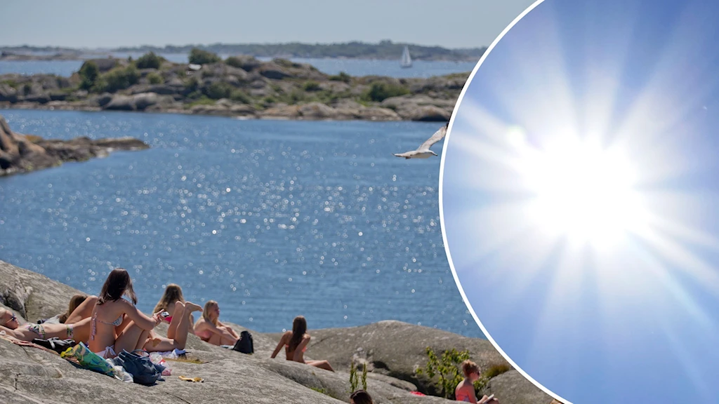 397c8ab0 bbba 417b 9ac6 41092d059897