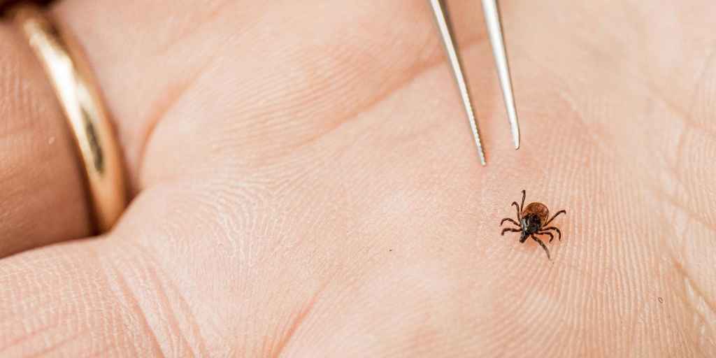 574fu2a d1dvQmW6P4XYiiX8Nsh4 WIDE 1