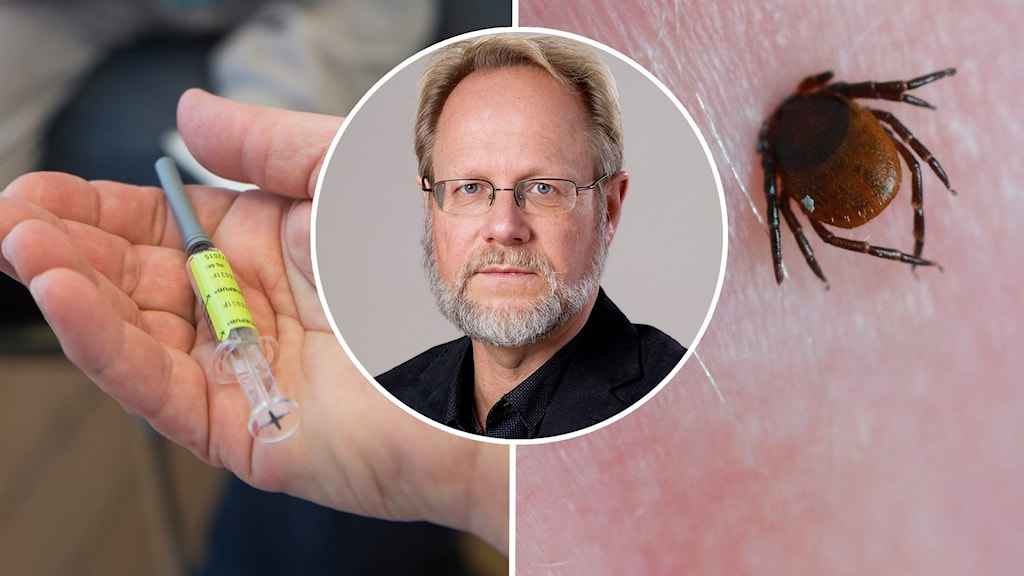 151f87fd bad5 4ad9 b7f0 ebed2ed0b2d2 1