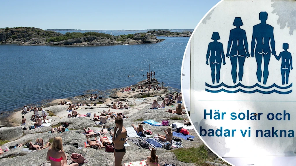 56e0199a af0d 488d 81fb ffc63970cfca