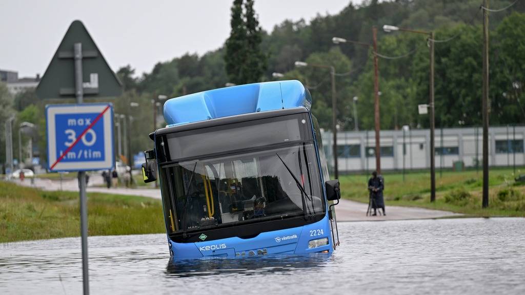 a001 NormalPreview 6 1