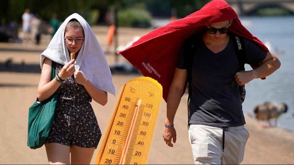 cb138c4b e862 567e 93c1 092616a9b545 1