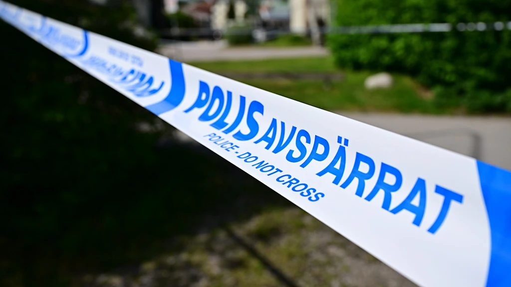 e70bee56 3d8b 4406 9aae 61359bb14138