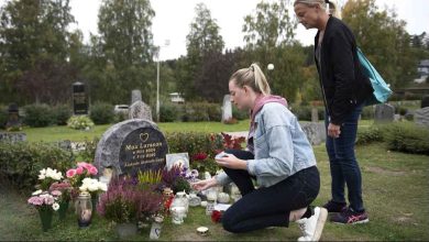 23aaaa3d 7b66 4f76 b712 f57716c6c71e 1