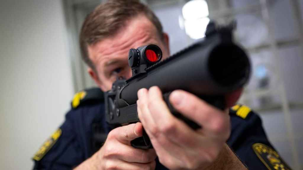 4P6JcQc1LlUQw0xvCrer66G15uvo REGULAR 1