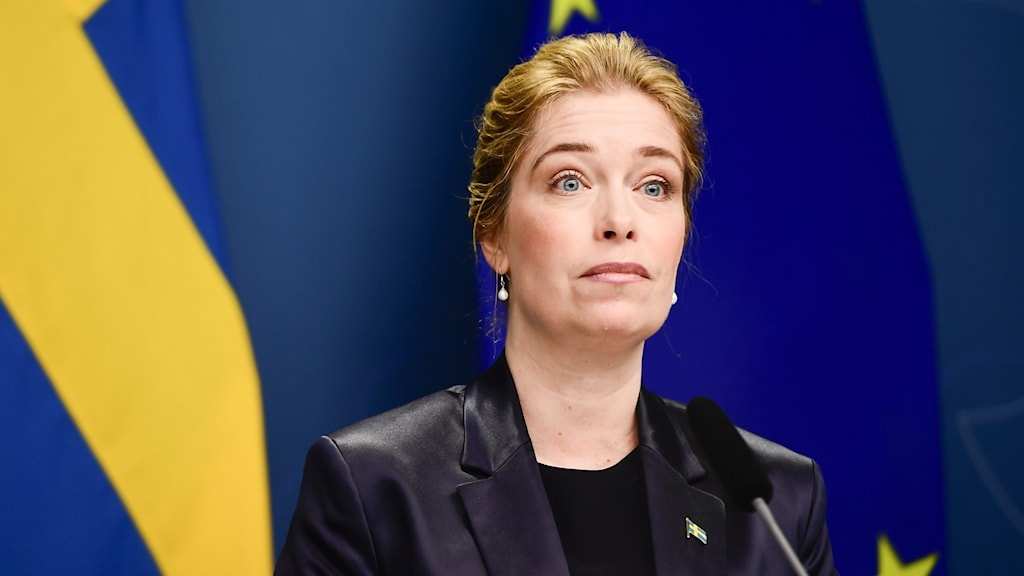 58ace488 5ac3 4344 83cf d2021e51d5fe