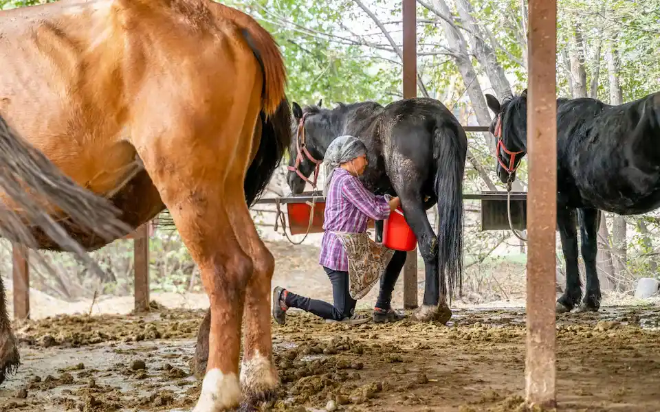 TELEMMGLPICT000389176967 17231340442360 trans NvBQzQNjv4BqpVlberWd9EgFPZtcLiMQf0Rf Wk3V23H2268P XkPxc 1