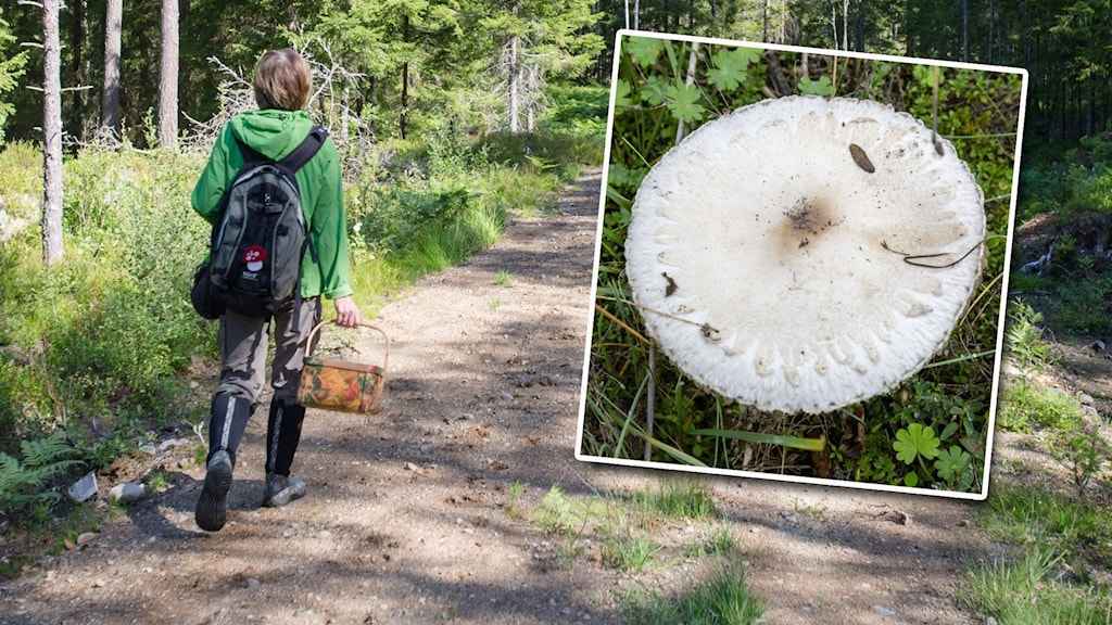 dd1ff8bd 0e66 478e a313 88ea18cd14d5 1