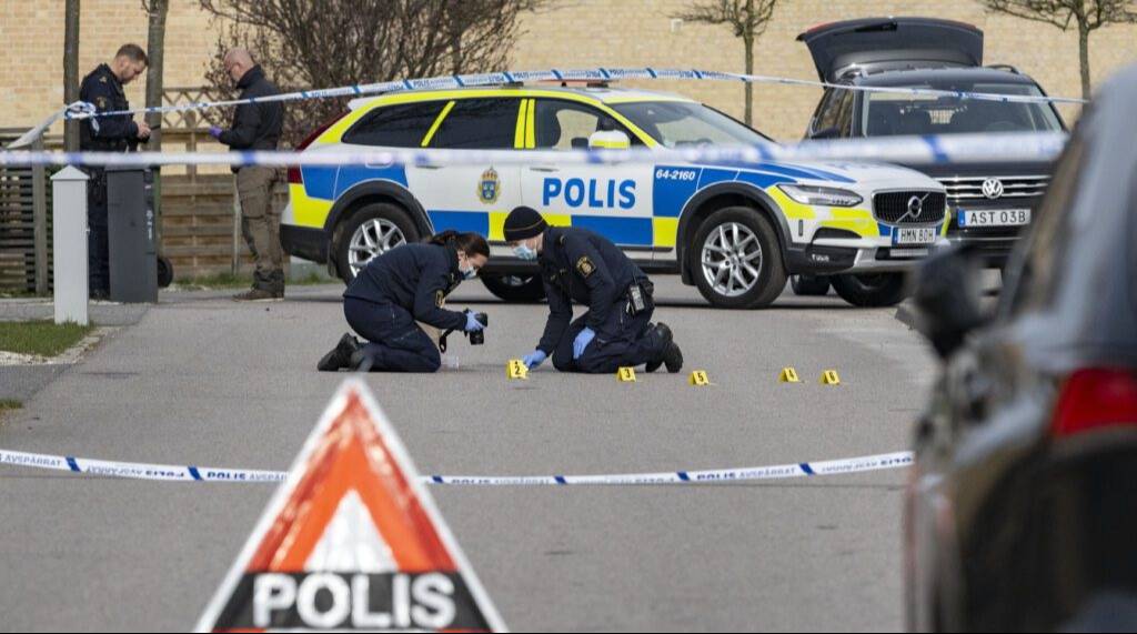 sdlumapieex3re nh 1024x681 1