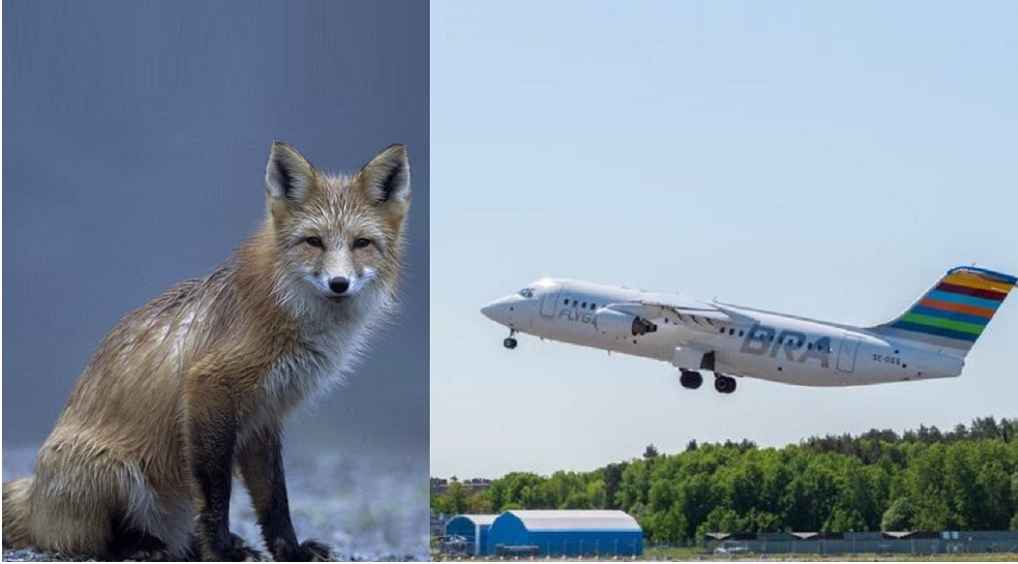 0e003ff2 6d5f 43d2 a9ff a5722c8c2100 w 960 h 960 765x420 1