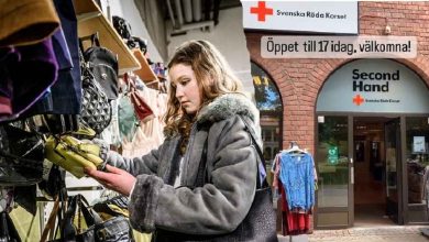 12099498 8dc7 49a3 a12e ed1ad879ccc4 1