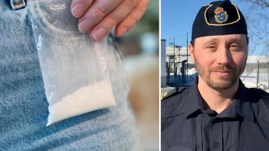 76d70012 f62e 456b 8cff e67a6c1a9862