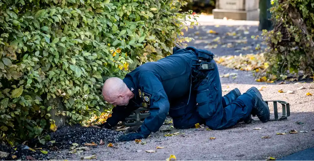 7860591a 1208 4832 82b2 593b91273d7b 1