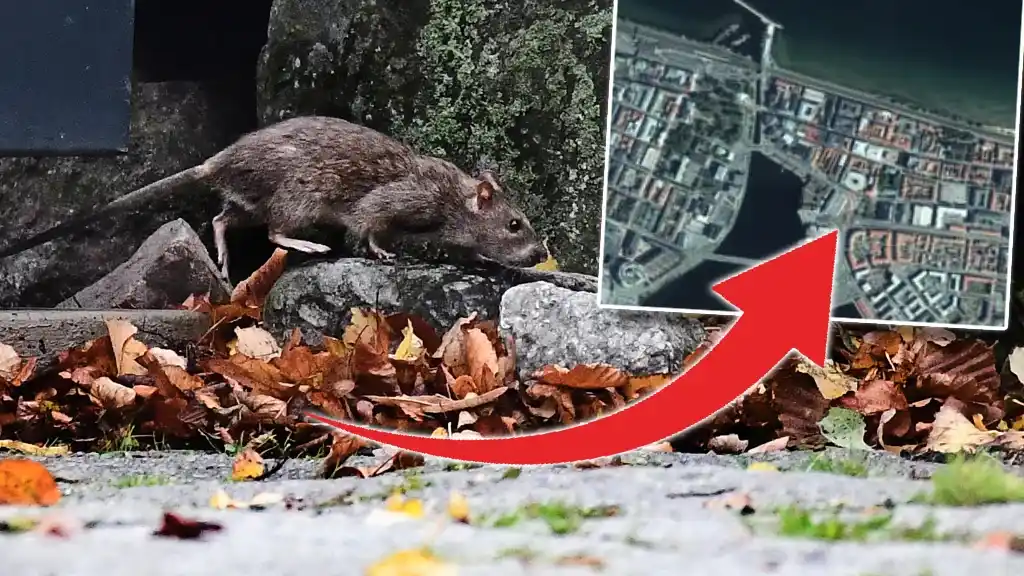 98aed8b6 dcd1 4914 b0c1 4f051da02320 1