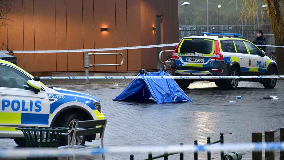 e 25947012 1583867447000 1