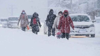 0829118f bc0c 40cb 96ac 61d5472067fc 1