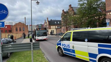 08a762a4 71d4 4dd8 a76f 00c07ee7ed33 1