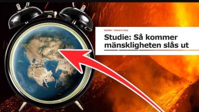 66760901 d973 4de5 95f0 89dd7886ae36 1