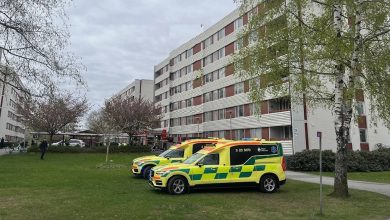 69b82382 724b 4a34 8263 66a85d6fd418 1