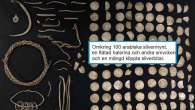 9c28489e c5ea 4b97 8224 12f78e2c9b73 1