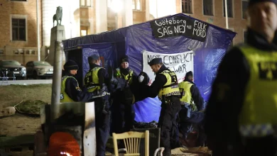 9cc542f7 e31c 4f81 87c0 36068c73c60a