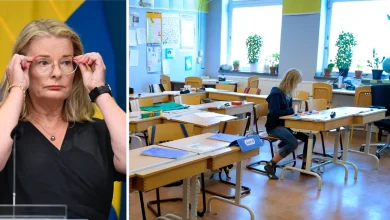 9d55c703 1a9f 445f 9d93 32fc03bf43f0