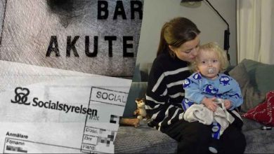 9f321bcb b2e8 4823 92a7 1f7280e6bb7e 1 1