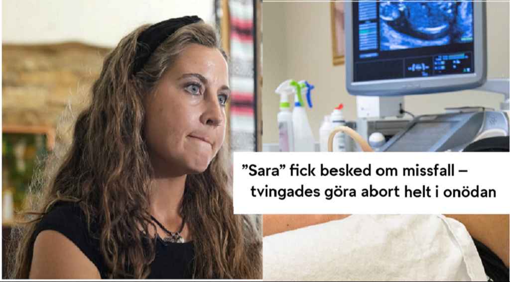 AP24220798710261 e1723494625112 1