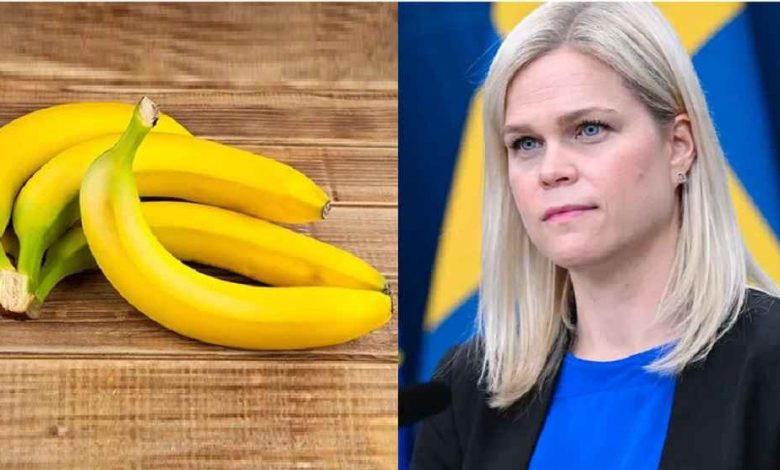 e8b9fd1c 0e52 43b4 8de2 9a3bbcafff92 1