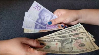 hander vaxlar kronor dollar 1